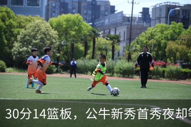 30分14篮板，公牛新秀首秀夜却等不来一场胜利