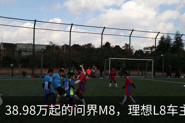 38.98万起的问界M8，理想L8车主试完沉默了，但老M8车主更沉默！